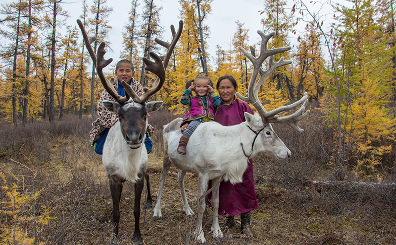 mongolia reindeer herders